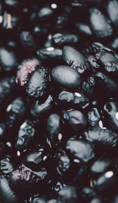 photographies by gilles labert for cookbook philosophie gourmande cuisiner l'essentiel (livre de cuisine)